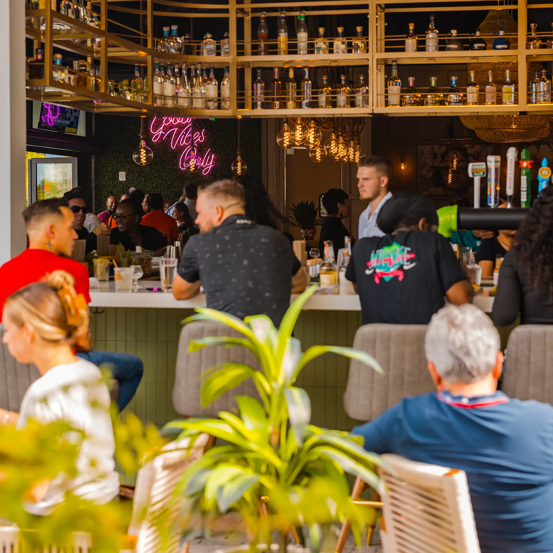 Guests at the Tacocraft bar in front of shelves of tequila