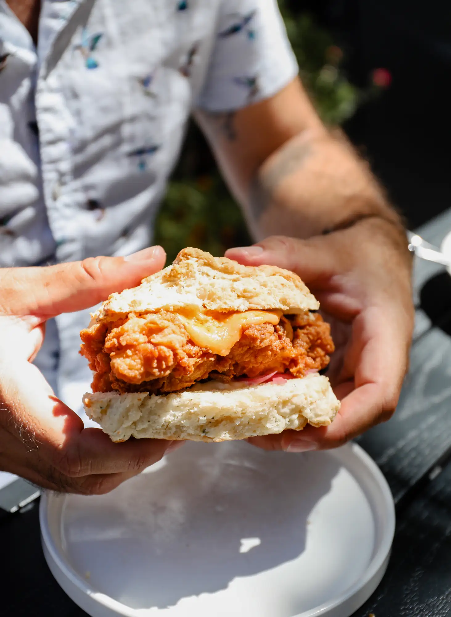 Fried chicken sandwich on a buttermilk biscuit at Scratchboard Kitchen